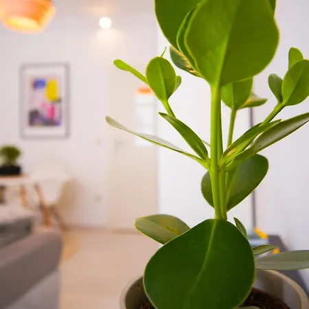 Stilvolles Im Laessigsten Viertel Appartement *